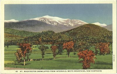White Mountains, NH. American Art Post Card Co., Boston, Mass.